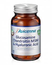 Глюкозамин Хондроитин MSM